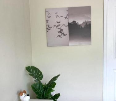 Renfrew-Collingwood House | Cozy Private Rooms Shared Home in Vancouver Great Location