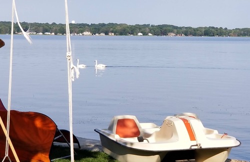 Tay Cottage | Cozy Pura Vida Cottage on i lake with a Million Dollar Sunsets 1 Bedroom