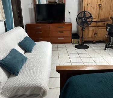 Tamiami Apartment | Cozy Queen Bed Studio with 60 Inch Smart TV, Netflix, AirPlay, Mini-Fridge, and 500 Mbps WiFi near FIU, Dolphin Mall, Airport