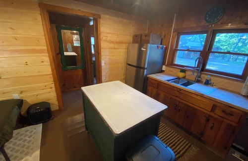 Baldwin Cabin | Cozy renovated vintage cabin near lake Cecilia