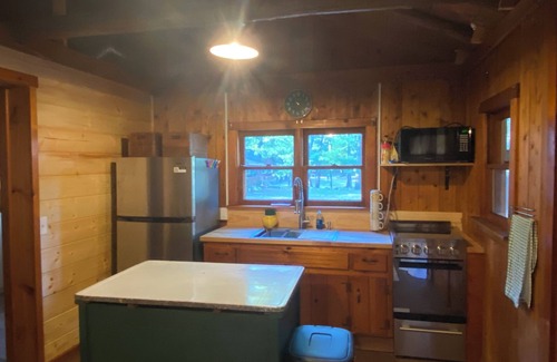 Baldwin Cabin | Cozy renovated vintage cabin near lake Cecilia