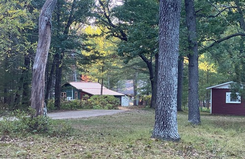 Baldwin Cabin | Cozy renovated vintage cabin near lake Cecilia