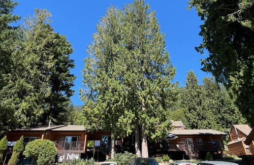Anglemont Condo | Cozy retreat on the Shuswap Lake. 1 bedroom condo with loft. Pet-friendly.