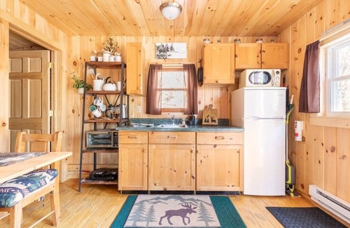 Warrensburg Cabin | Cozy Riverfront Adirondack Cabin [+ Bonus Cabin]
