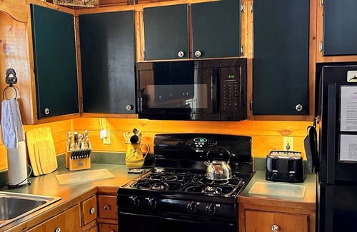 Blairsville Cabin | Cozy Romantic Cabin for 2 - Private Hot tub, gas fireplace, wooded, king log bed