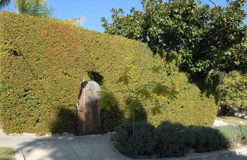 Lower Riviera House | Cozy, Romantic Retreat in the Heart of Santa Barbara near the Historical Mission