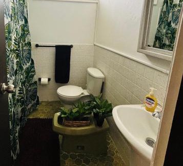 Caimito Bed & Breakfast | Cozy Room for 2 with Private Bath & Terrace