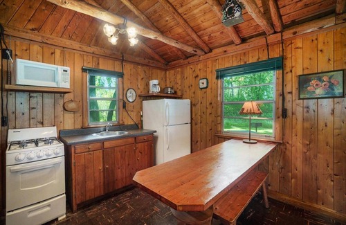 Cheboygan Cabin | Cozy, rustic log cabin on Mullett Lake #6
