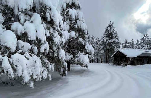Parks Cabin | Cozy Rustic Ranch Cabin close to Williams in Parks