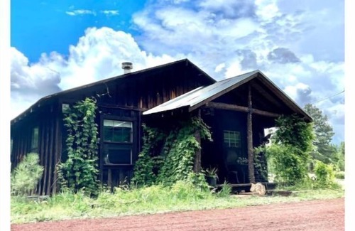 Parks Cabin | Cozy Rustic Ranch Cabin close to Williams in Parks