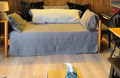 Bromley Mountain Condo | Cozy, Ski-In/Ski-out 1-Bedroom condo at Bromley's Chester House