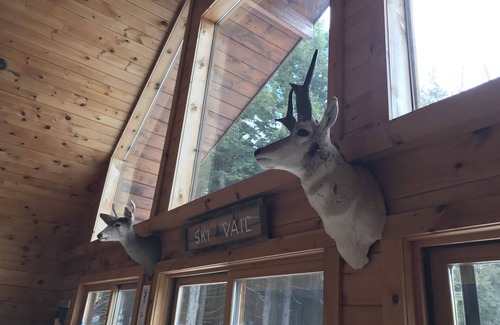 Maplecrest Cabin | Cozy ski retreat in the Catskills