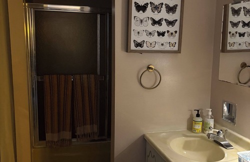 Blodgett Mills Condo | Cozy Slope Side Retreat: Ski/Sun/College Trips/Girls Trip/Upstate Getaway