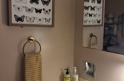 Blodgett Mills Condo | Cozy Slope Side Retreat: Ski/Sun/College Trips/Girls Trip/Upstate Getaway