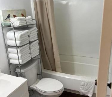 Richmond House | Cozy spacious family home near Carytown fully fenced