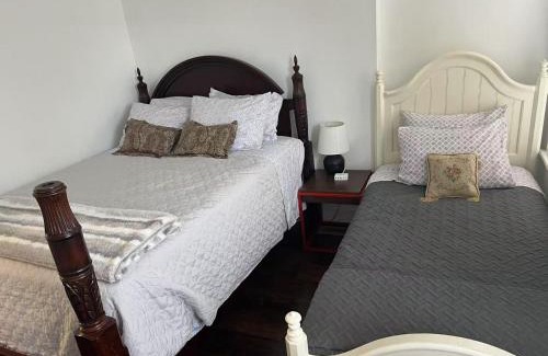 Richmond House | Cozy spacious family home near Carytown fully fenced