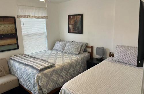 Richmond House | Cozy spacious family home near Carytown fully fenced