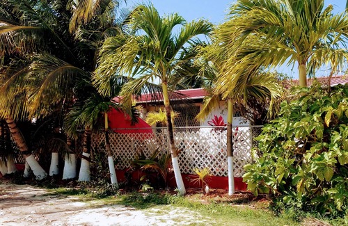 Ladyville Apartment | Cozy Studio Apart.,Free Airport pickup/dropoff