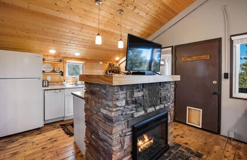Florissant Cabin | Cozy Studio |Deck Views + Fireplace + Near 11 Mi