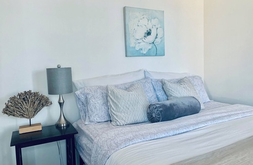 Downtown San Diego Apartment | Cozy Studio in Excellent Location with Kitty Cat!