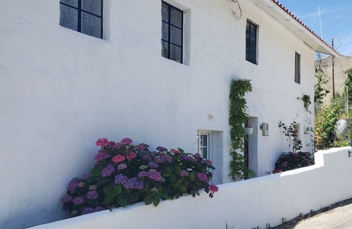 Macao Apartment | Cozy studio in the mountains of Central Portugal! Vegan and pet friendly!