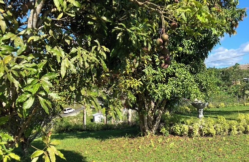 Darliston Cottage | Cozy Studio retreat along Jamaica's South Coast high in the hills. Country bliss