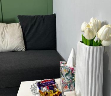 Hollow Meadows Apartment | Cozy Studio Kelham Island