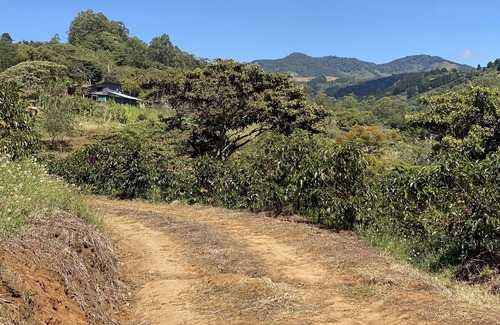 Cirri Sur Apartment | Cozy studio, Mountain View