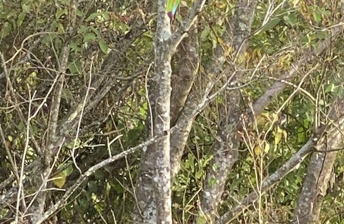 Cirri Sur Apartment | Cozy studio, Mountain View