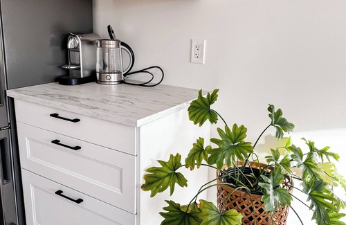 White Rock Apartment | Cozy studio suite, walking distance to the beach and restaurants!