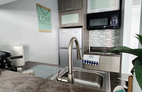 Santurce Apartment | Cozy Studio with Lagoon Views and Beach Access