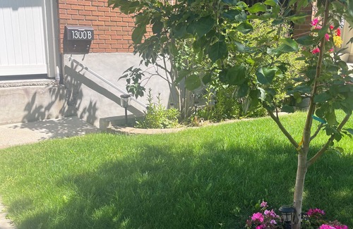 Northwest Calgary Apartment | Cozy Suite next to Nose Hill Park 10 min airport 15 min downtown. Pet friendly!