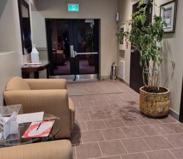 Downtown Gatineau Apartment | Cozy Sweet Studio #2. Ten minutes to D.T Ottawa