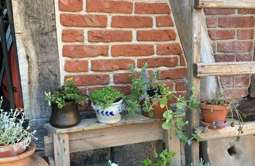 Hittbergen Apartment | Cozy thatched cottage on the Elbe