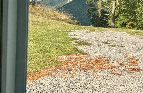 Seneca Rocks Cabin | Cozy Tiny Cabin with Hot Tub, 3 Minutes to Seneca Rocks Park Entrance
