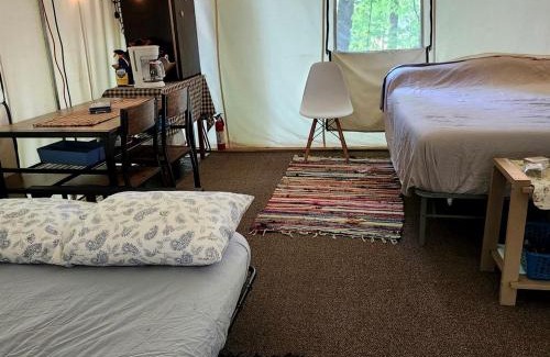 Grandview Other | Cozy Treehouse Tent with Forest Trails near Waterfalls in Cumberland Plateau, TN