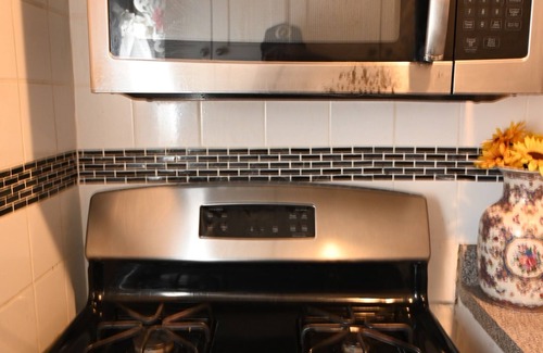 Brooklyn Apartment | Cozy two bedroom apartment close to JFK