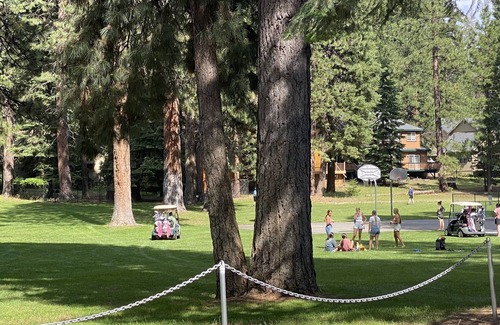 Lake Almanor Country Club Cabin | Cozy Conifer Cabin in the Country Club at Lake Almanor