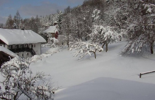 Schwarzach Apartment | Cozy vacation apartment (80sqm) with access to the courtyard