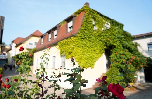 Erlabrunn Apartment | Cozy vacation apartment comfort (31m2)