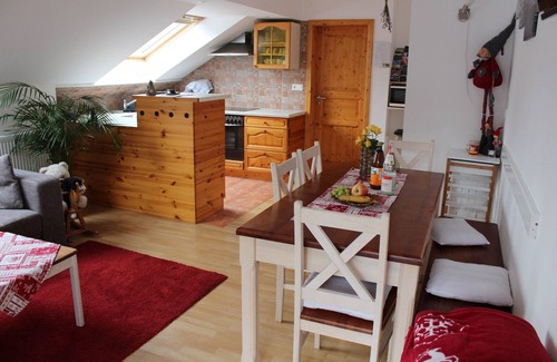 St. Blasien Apartment | Cozy vacation apartment for families with playground by the forest, vacation with dog,