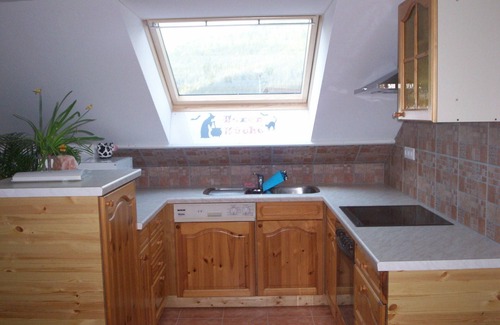 St. Blasien Apartment | Cozy vacation apartment for families with playground by the forest, vacation with dog,