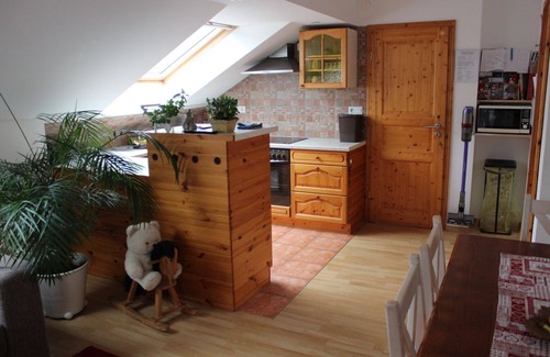 St. Blasien Apartment | Cozy vacation apartment for families with playground by the forest, vacation with dog,