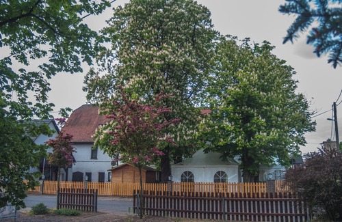 Grimma Apartment | Cozy vacation apartment for the family in the Nobel Prize-winning village/Muldental
