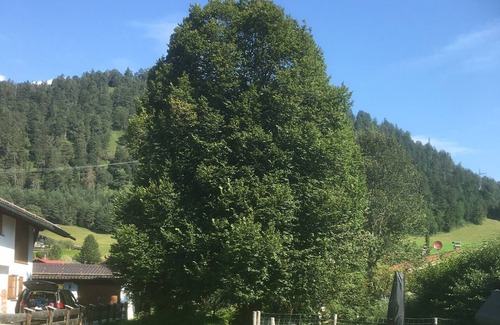 Wallgau Apartment | Cozy vacation apartment in the heart of Wallgau!