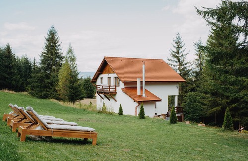 Toplita Ski Chalet | Cozy Villa in the middle of Nature!
