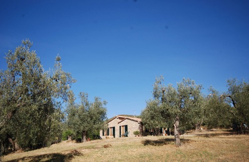 Semproniano House | Cozy villa surrounded by olive trees