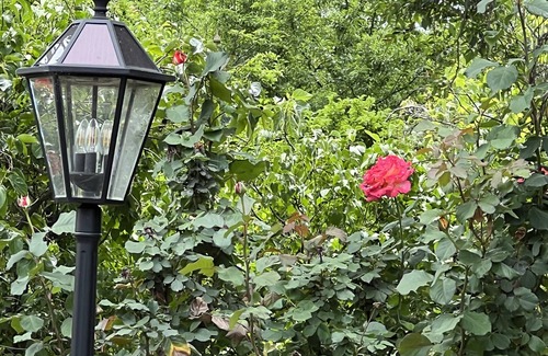 Ione Cottage | Cozy Vintage Rustic Rose Cottage w 3 private Bedroom’s