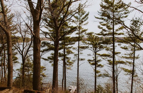 Webster House | Cozy Viola Lake Vacation Cottage