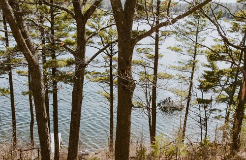 Webster House | Cozy Viola Lake Vacation Cottage
